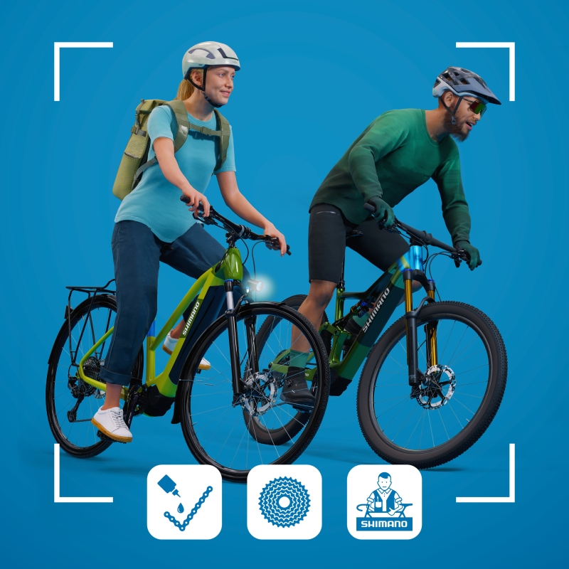 Cuida da tua bicicleta e prolonga a sua vida útil