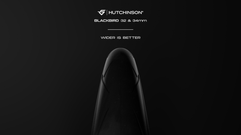 New Wide - Format Blackbird